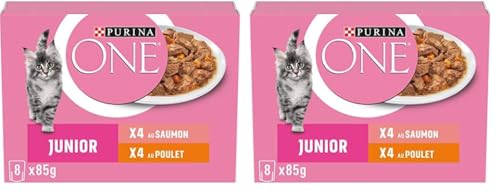 PURINA ONE Junior Chuletas en Salsa Sabores Surtidos Salmón y Pollo para Gatitos | Bolsas de Comida 8 x 85g (Paquete de 2)