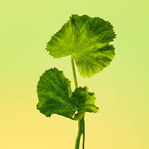 Calvin Klein Eternity For Men Eau De Toilette, 1.6 Fl Oz #TOP5