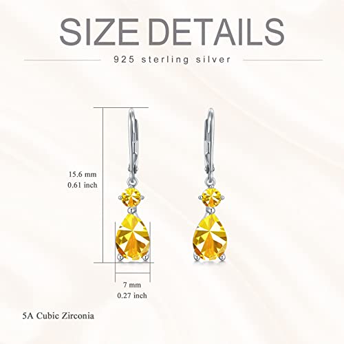 Birthstone Earrings Jewerly For Women, 925 Sterling Silver Dangle Leverback Earrings With Clear Birthstones Anniversary Fine Jewelry Gift For Her, Wife, Mom, Girl Mother's Day #TOP5