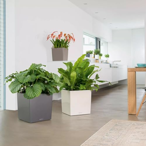 Lechuza Cube Premium 50 Antracite Metallizzato 16563 - 9