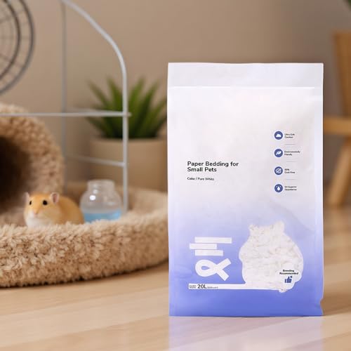 pxbhpf,VRf pxbfBO | zSP[W OɐBnb`ETMpi