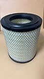 NUEPWRFA P543614 AIR FILTER,Compatible for Donaldson, Compatible with JAC W1109170LE010,NISSAN/UD