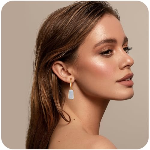 Long Plate Pendant Earrings For Women Trendy Inlaid with Natural White Sea Shells Titanium Steel is Electroplated with 18K Gold Earrings4