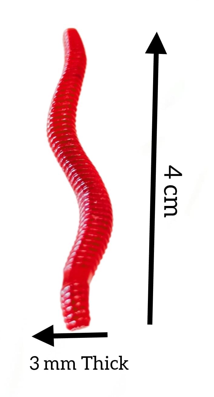 Vasa Earthworm Hook Lure Grub for Fishing Artificial Blood Type Bait Tackle Soft Worms for Fish Food, Brown Colour, 4 cm Long (50) 2