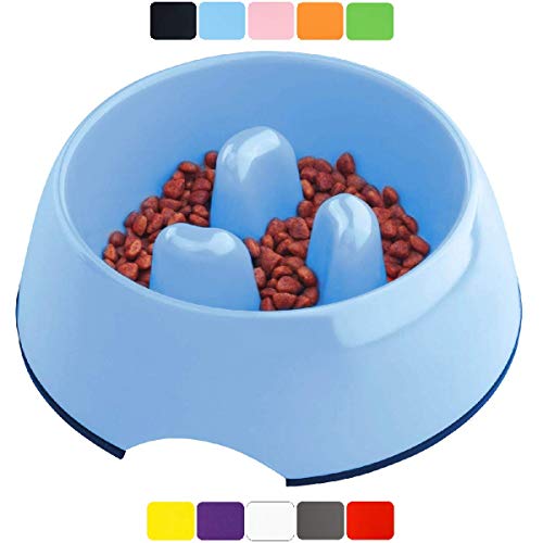 DDOXX Gamelle Anti Glouton pour Chien, Antidérapante | Nombreuses Couleurs & Tailles | pour Petit, Moyen Gros & Grand | Bol d'alimentation Lente en Mélamine Chat Chiot | Bleu, 300 ML
