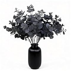 Black - Eucalyptus Stems