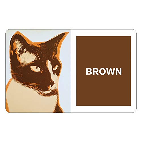 Andy Warhol What Colors Do You See? Board Book: Mudpuppy