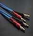 KK Cable Q-P2 18 Gauge OFC Speaker Wire Pair with RCA Male (White & Red) to 2 Pair Banana (4banana) Plugs, Q-P2 (0.75M(2.4ft))