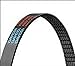 Dayco (Private Label) 5030425 Auto Part