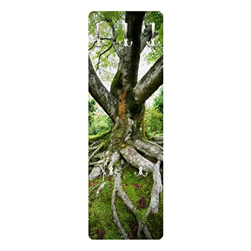 Bilderwelten Garderobe - Alter Baum - Grün, Größe HxB:105cm x 34cm
