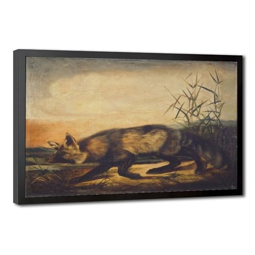 Impression sur toile de renard rouge John Woodhouse Audubon avec cadre à suspendre 20,3x30,5 cm