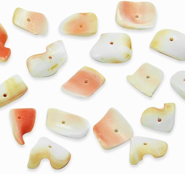 Expo International 6 paquetes de cuentas de fragmento de concha, rosa, 18 piezas. Cuentas de joyería naturales