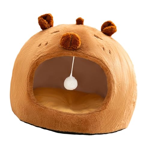 Leefasy Lxbh Lp L̑ ~ߒ 􂦂鋏Sn̗ǂLxbhALegqLqp, L