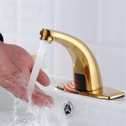 ZT[X}[gA~LT[A^b`XAS[h