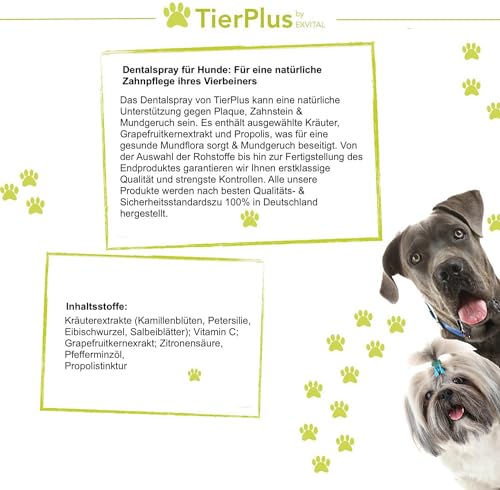 EXVital TierPlus Dentalspray für Hunde, gegen Zahnbelag, Zahnstein & Mundgeruch, natürliche Zahnreinigung & Zahnsteinentferner, 100 ml Sprühflasche, 100% natürlich & ohne Zusätze, Made in Germany