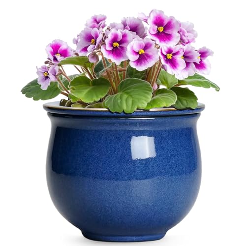 Teagas 6 Inch Self Watering Pots, Ceramic African Violet Planter with 