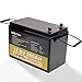 12V 100Ah/280Ah/460Ah LiFePO4 Lithium Iron Phosphate Battery with BMS, For RV,Camping, Trolling Motor, Marine,Boat,Off-Grid,Home Energy Storage (12V280Ah)