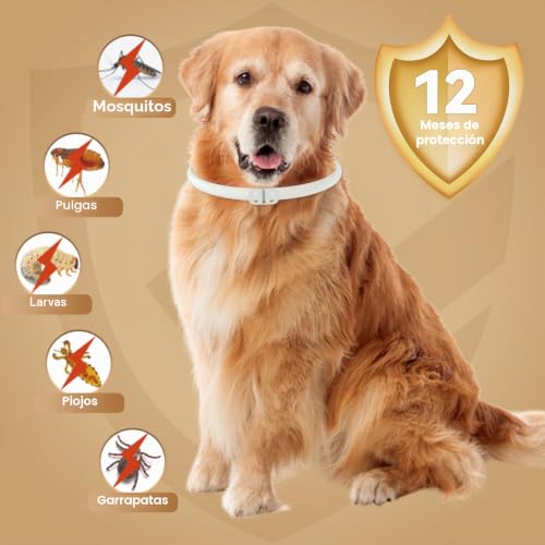 Miniatura 2 de Inpumo Collar Antiparasitario Para Perros, Collar Antipulgas Y Garrapatas, Apto Para Todos Los Tamaños, Fórmula Natural Segura, Material Impermeable, Dura 12 Meses 2