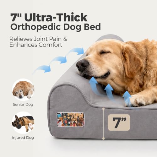 Image of Sytopia Orthopedic Dog Beds for Extra Large Dogs, 7 inch Extra Thick Memory Foam Dog Couch for Senior Dog with Durable Waterproof Liner & Removable Washable Cover & Smart Design, 50 inchx 36 inchx 7 inch, Grey