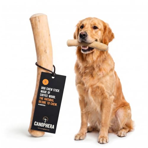 Canophera Coffee Wood Dog chew Sticks for Regular chewers - Size Medium