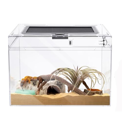 Terrarium pour reptiles anti-évasion avec aération optimale