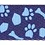 B.Blue Paw
