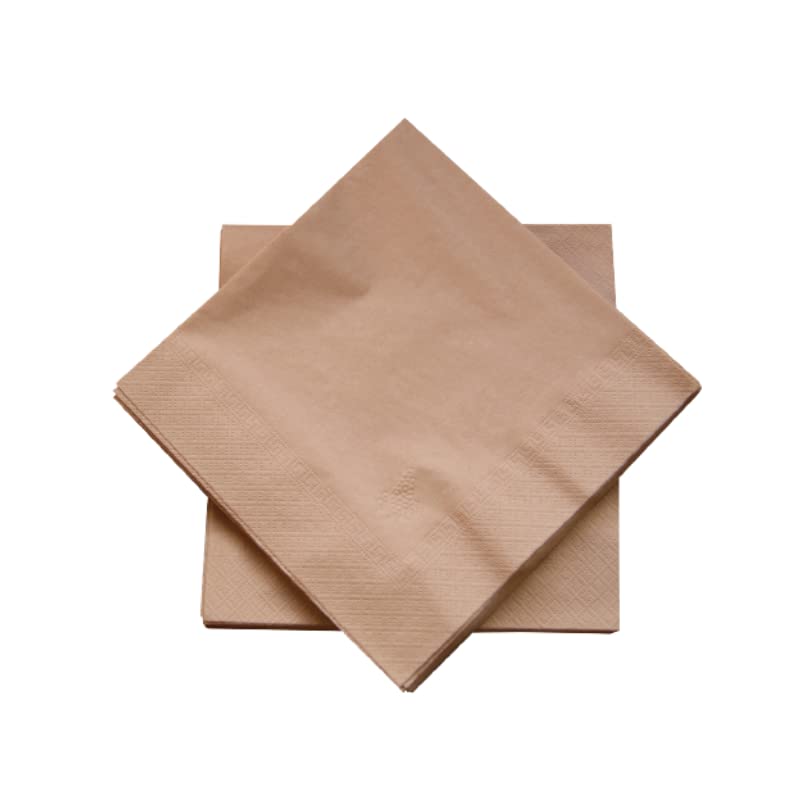 DSTOCK60 – Paquet de 100 serviettes en papier ouate couleur noix 40 x 40 cm – 2 épaisseurs –...
