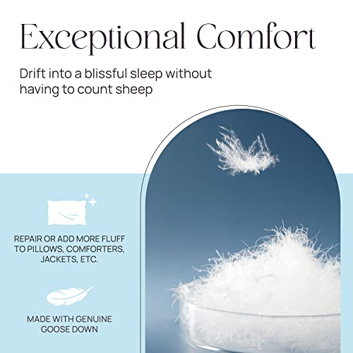 East Coast Bedding Goose Down Feather Stuffing & Fill, Pillow Filling, Repair, Restuff, Fluff For Couch Cushions, Comforters, Jackets, Bedding Products, 10/90 Blend, 5 Lbs #TOP1