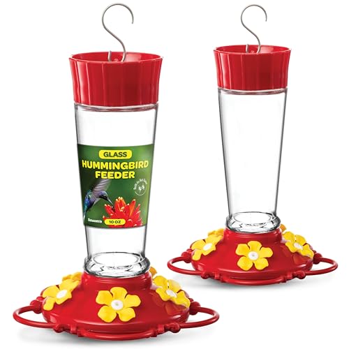 Hummingbird Feeder 10 oz [Set of 2] Glass Feeders for Outdoors, with Built-in Ant Guard - Circular Perch with 5 Feeding Ports - Wide Mouth for Easy Filling/2 Part Base for Easy Cleaning