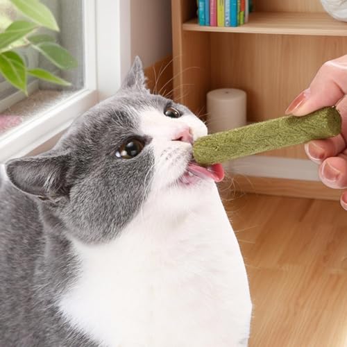 Bastão de dentição de grama para gatos, guloseimas de grama para gatos, 6X petisco natural para gato