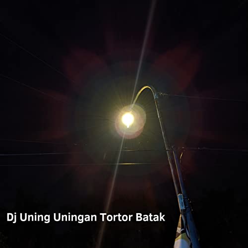  Dj Uning Uningan Tortor Batak
