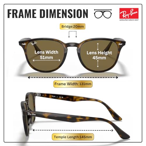 Image of Ray-Ban RB4259 Phantos Shaped Sunglasses for Men & Women with Official RAYBAN Eyewear Kit