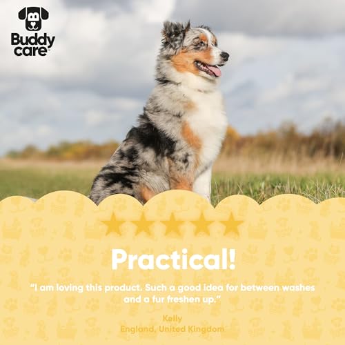 Buddycare Trockenshampoo für Hunde (200 ml) | Vanille & Sheabutter – Trockenshampoo für Hunde mit empfindlicher Haut | Natürlich, einfach anzuwenden für EIN frisches, sauberes Fell