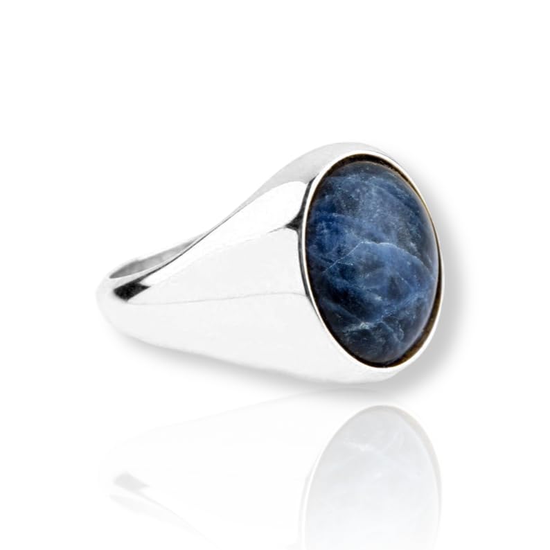 Men's Pietersite Ring, Signet Ring for Men, Handmade Men's Ring, 925 Sterling Silver Plated Jewelry, Unique Gift for Him, Men's Ring, Boyfriend Gift