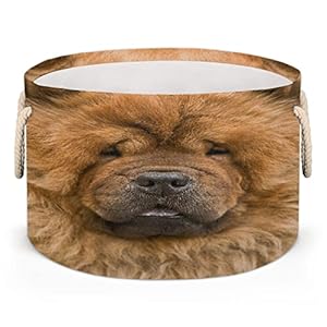 Chow Chow Portret Wasmand Opvouwbaar met Katoenen Handvat Chow Opbergmand Speelgoed, Kleding Organizer Bin, Decoratieve…