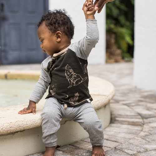 Burt's Bees Baby Boys Shirt and Pant Set, Long Sleeve Top & Bottom Outfit Bundle, 100% Organic Cotton, Desert Wolves Set, 24 Months - Image 2