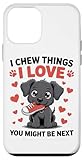 Adorable Puppies Fun Pet Humor