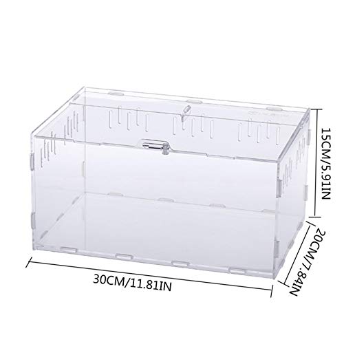 Foxglove Reptiel Voeden Doos Fokken Doos Transparant Glas Fokken Doos Terrarium Terrarium Feeder Slangen Spin Hagedis… - Afbeelding 3