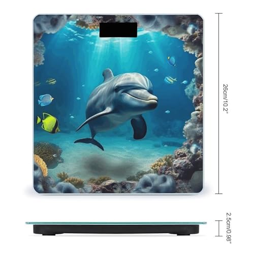Báscula Digital de Baño Underwater World Dolphin miniatura 2