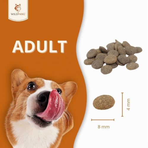 Wildfang® Trockenfutter für Hunde 6kg – Premium Hundetrockenfutter mit Ente, Getreidefrei & glutenfrei natürliche Zutaten, ohne Zuckerzusatz, für ausgewachsene Hunde & Senioren – 2er Pack