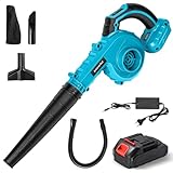 Soffiatore a batteria 500 W, Aspiratore elettrico display digitale, regolazione della velocità vento a 5 velocità, polvere impieghi gravosi per piccole auto, aspirapolveri per uso domestico