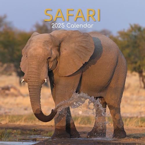 The Gifted Stationary 2025 Square Wall Calendar, Safari, 16-Month Natural World Theme Hanging Calendar with 180 Reminder Stickers, Month Planner for Home, or Creative Spaces, 12x12 In