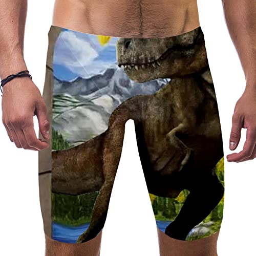 Short de bain pour garçon imprimé dinosaure multicolore en taille XL