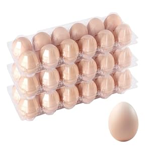 Haploon 120 Pcs Plastic Egg Cartons Cheap Bulk 12 Count Clear Empty Egg Cartons Reusable Egg Holder, 2×6 Grids Egg Trays for Refrigerator Use, Chicken Farming, Family Storage, Market Display