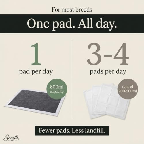 Image of Charcoal Pee Pads for Dogs - Large 29.5 inchx23.6 inch Puppy Pads, Activated Charcoal Odor Control - Leak-Proof CET Edge, 7-Layer 800ml Absorption, Quick-Dry - Made in Korea - 30 Count