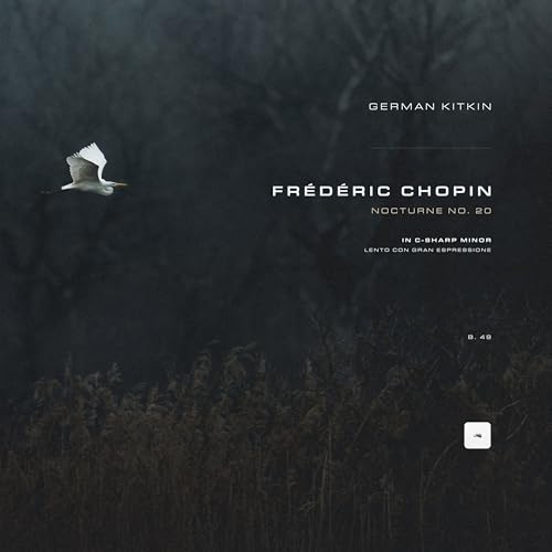  Nocturne No. 20 in C-Sharp Minor, B. 49
