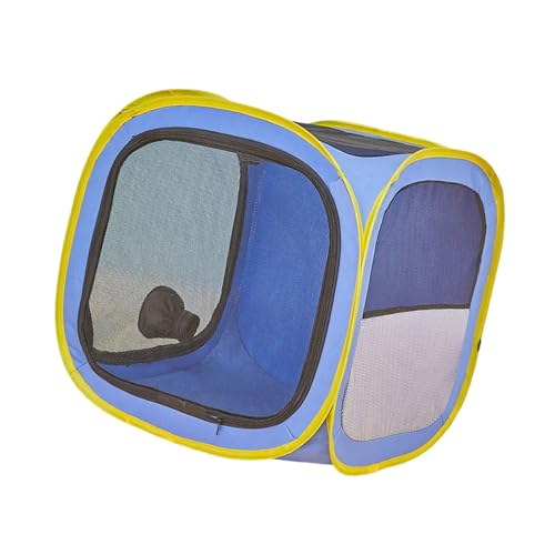 _ȔL@eg₩ȉz\tgCeAybgO[~OK{ǉƒp_ȔL@