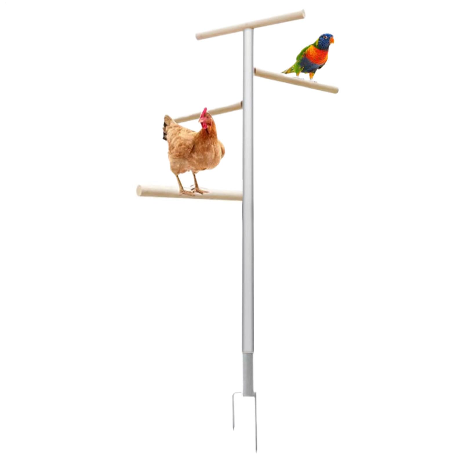 Perchoir À Poules 4 Niveaux Multifonction Et Ample Gain De Place