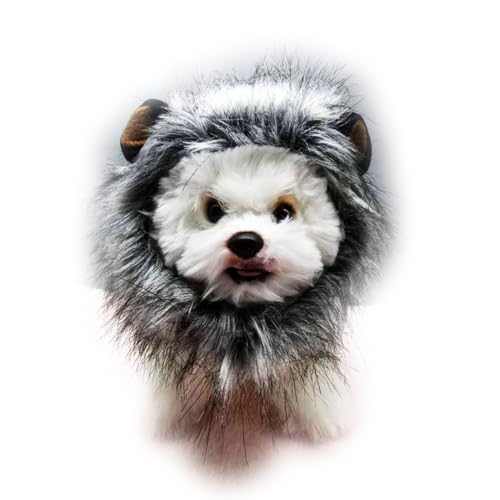 Chapéu de peruca para animais de estimação, gato, cachorro, leão, chapéu, chapéu de leão, vestido de
