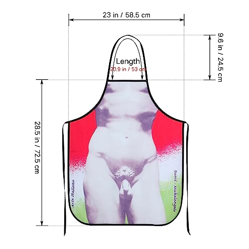 Cabilock 2pcs Personalised Apron Funny David Statue Cooking Apron Novelty Kitchen Apron Sculpture David Apron Grilling BBQ Apron for Adults Adult Apron Aprons